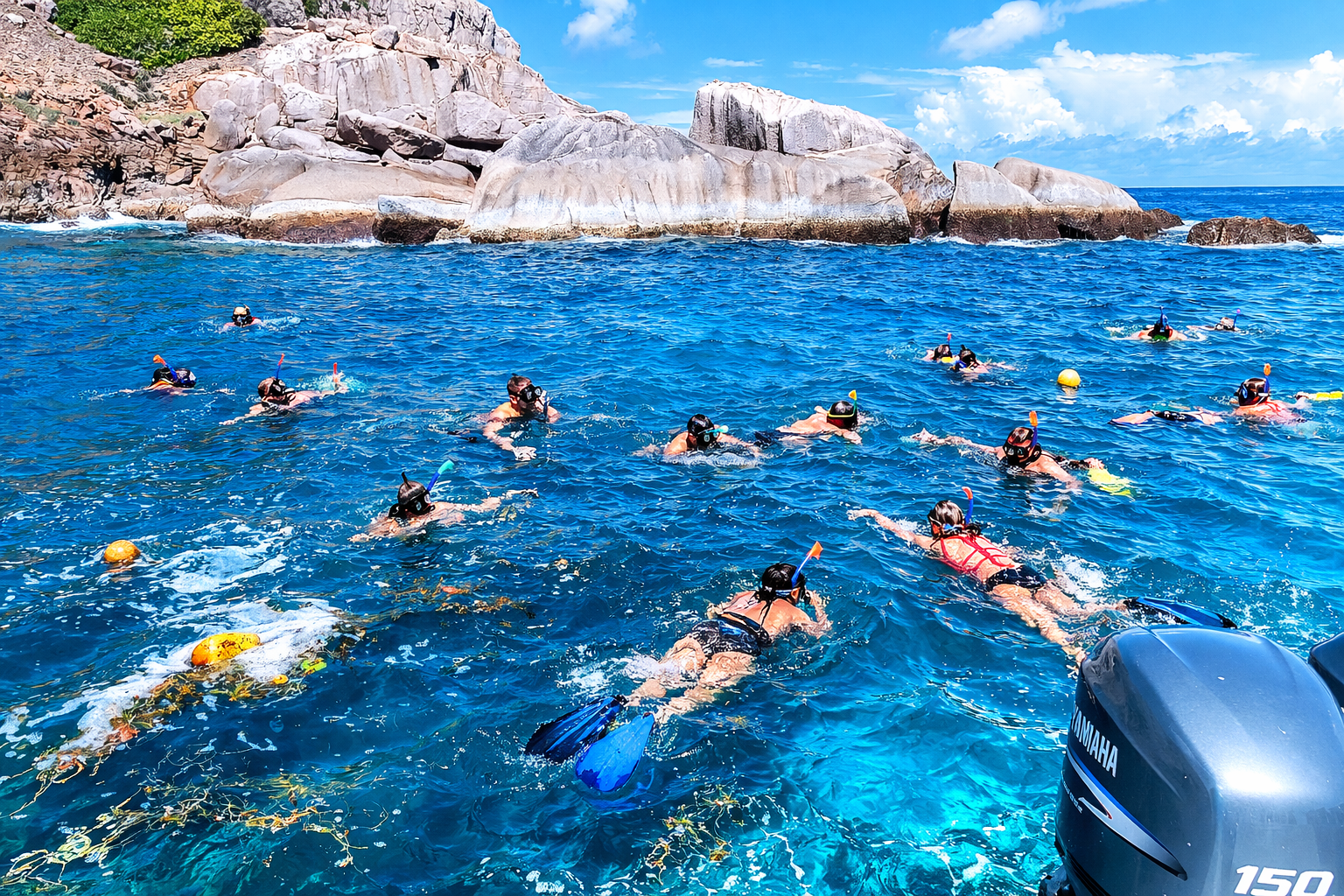 chatgpt image feb 25, 2026, 11 40 05 am